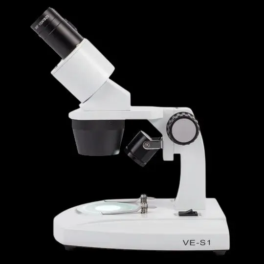 WhatsApp Image 2025-03-27 at 6.55.16 PM (1).webp