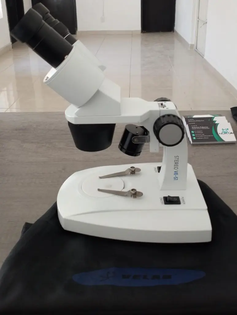 WhatsApp Image 2025-03-27 at 6.55.15 PM (1).webp